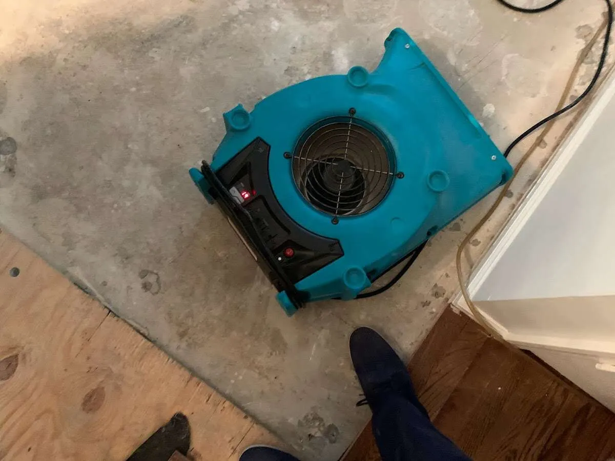 Air mover drying subfloor during Leak Detection & Repair in Sebastopol